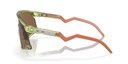 Oakley Unisex Sunglasses, Bxtr Coalesce Collection Oo9280 - Transparent Fern