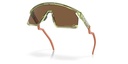 Oakley Unisex Sunglasses, Bxtr Coalesce Collection Oo9280 - Transparent Fern